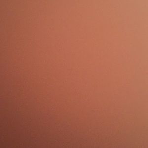 Meet your Posher, Naomi